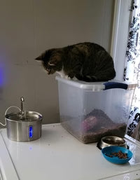 Review photo by Tatiana Horváthová