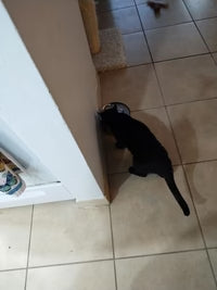 Review photo by Dominika Černá