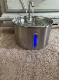 Review photo by Vladimír Sabol